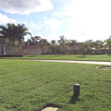 Orlando Landscaping Maintenance by Prestige
