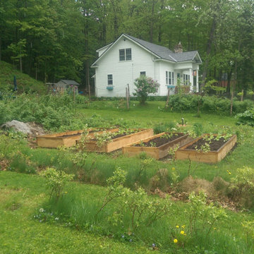 Norwich VT Orchard