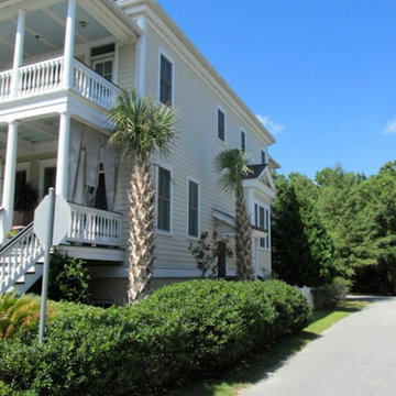 Palm Tree Gallery