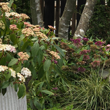 Bungalow Garden Through the Seasons