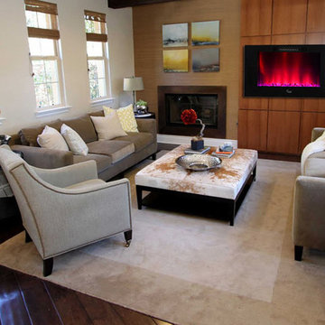 Electric Fireplace Meet Your Living Room