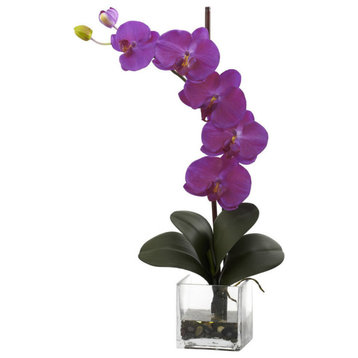 Giant Phalaenopsis Orchid With Vase Arrangement, Orchid