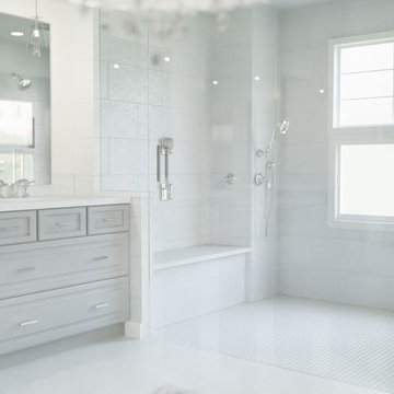 Philadelphia Master Bath "Luxe Living"