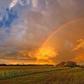 Donna Gibson's photo