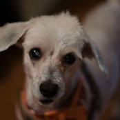 Joseph Peters's photo