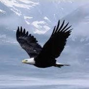 Cathy Myers's photo