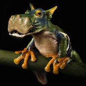 Jacqueline Freeman's photo