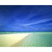 Patty Wooten's photo