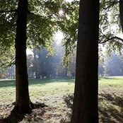 Sebastian Klopfleisch's photo