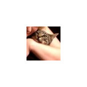 Bea M.'s photo