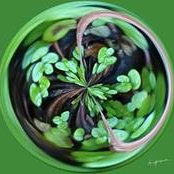 Nancy Kirkpatrick's photo