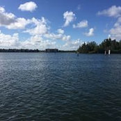 Chris Gryscavage's photo