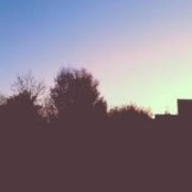 David Lawley's photo