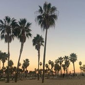 David Oesterling's photo