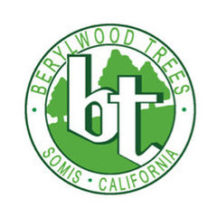 Berylwood Tree Farm