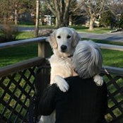 Foto von Cheryl Lynn Harding