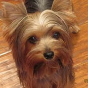 Wanda Swetz's photo