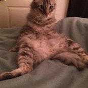 Lisa Panian's photo