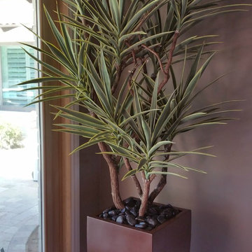 Trees By Botanical Elegance