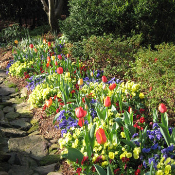 Fall Flowers