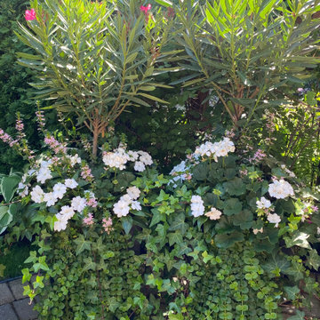 Summer Planters 2020