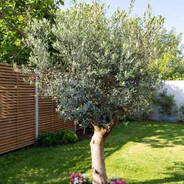 Bientôt le Printemps ... C'est le moment de penser à son jardin !