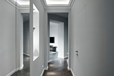 Foto di un ingresso o corridoio design di medie dimensioni con pareti grigie e parquet scuro
