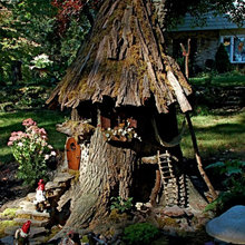 Stump Ideas