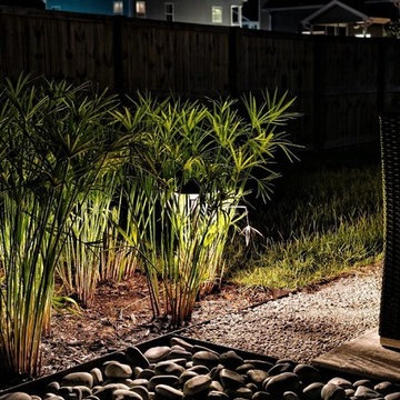 Backyard Renovation-Johns Island