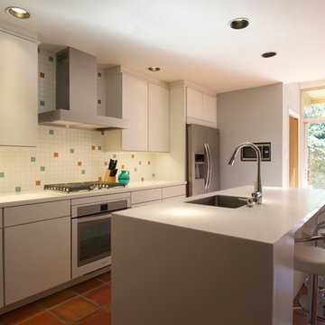 San Antonio Mid Century Modern Interiors