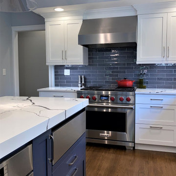 Bright White Transitional Kitchen