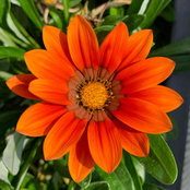 Rosemarie Ceylanli's photo