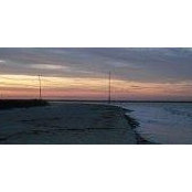 Carolyn McIntyre's photo