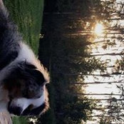 Shaylee Thornberry's photo
