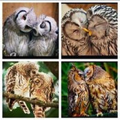 Erin Anderson's photo