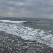 Tamritha Dean's photo