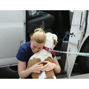 Jessica Pfeiffer's photo