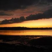 Betheny Palmer Ruiter's photo