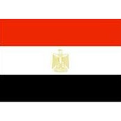Amr El-gohary's photo