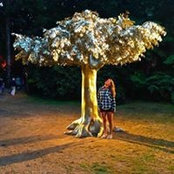 Roxanne Turner's photo