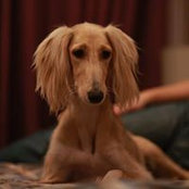 Tamara Kostina's photo