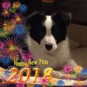 Paula Barras's photo