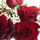 trace_boyko