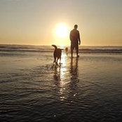 Shahab Shekari's photo