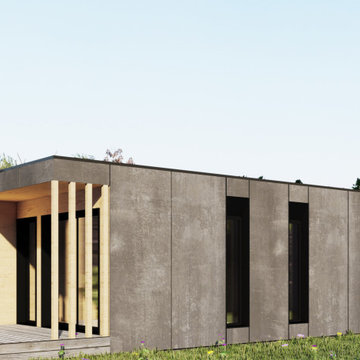 Studio de jardin contemporain
