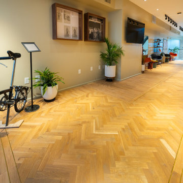 BROMPTON BICYCLES DC