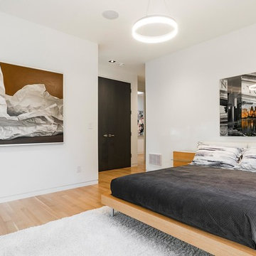 Luxury Lane - ZIP-CLIK® System Modern Reveal
