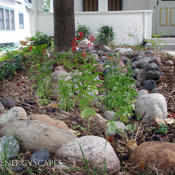 Rain Gardens