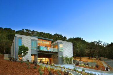 Photo of a large contemporary drought-tolerant front yard landscaping in San Francisco.
