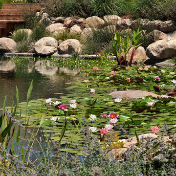 Ranch Reservoir & Nectar Garden w/ BioHaven Floating Island